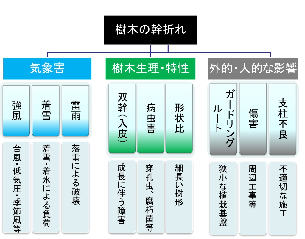 樹木の幹折れ