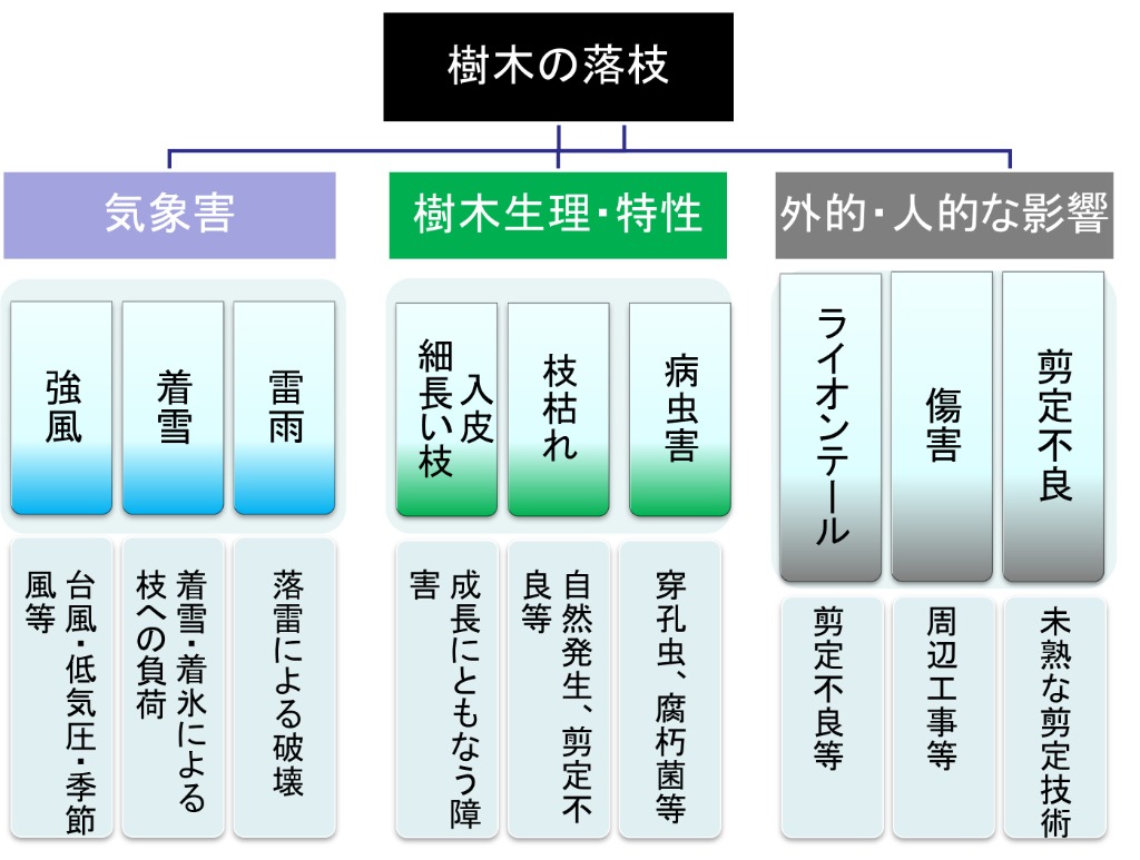 樹木の落枝